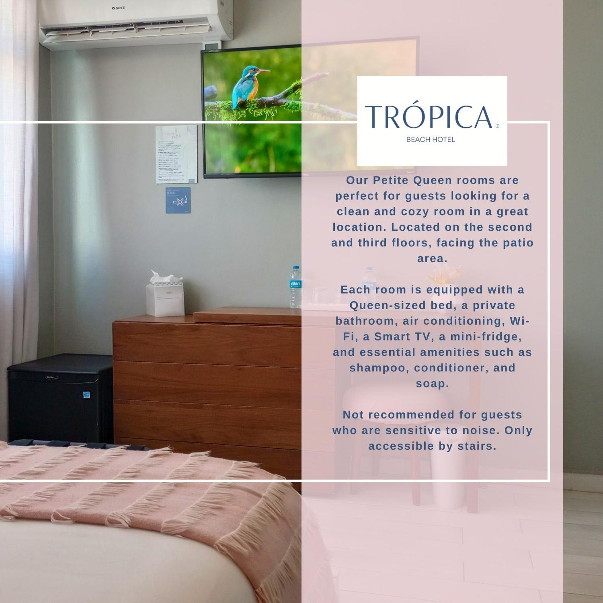 Tropica Beach Hotel (Adults Only) San Juan Rom bilde